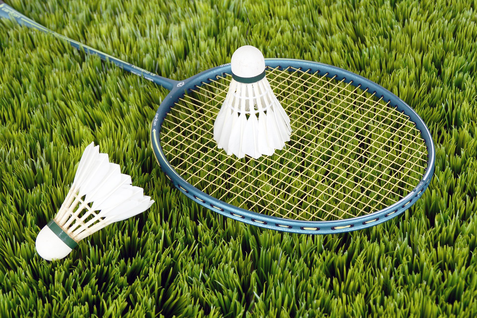 Badminton with Two Birdies